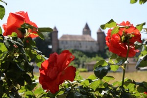 JCRfestiroses-3