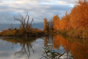 Jean-claude_bertschy_novembre_001